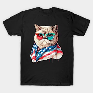 Independence Day Cat T-Shirt